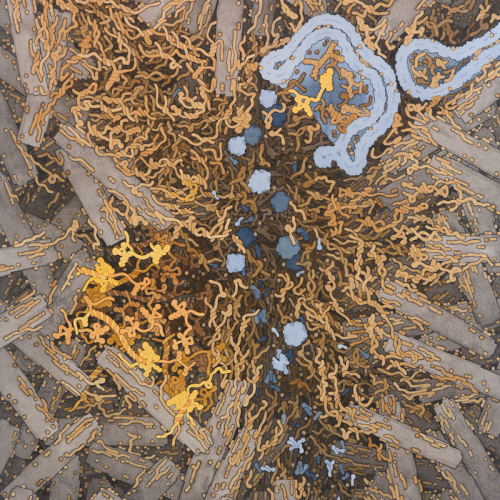 abiogenesis Abiogenesis