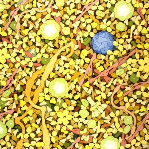 biosites-blood-plasma Biosites: Blood Plasma