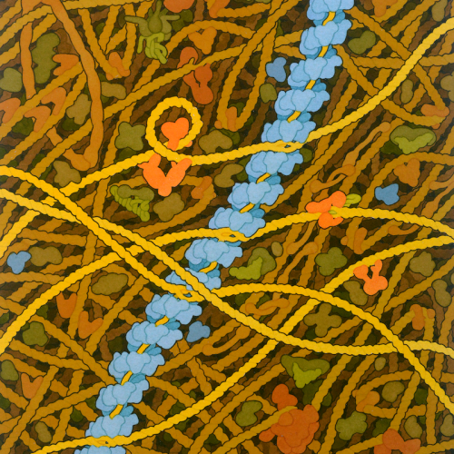 reca-and-dna RecA and DNA