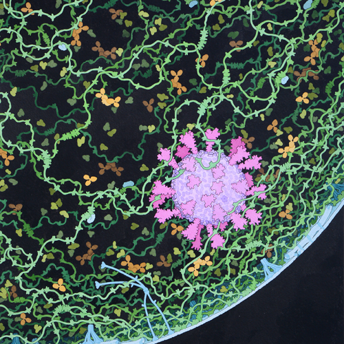 respiratory-droplet Respiratory Droplet